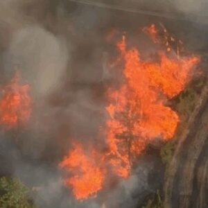 adananin imamoglu ilcesindeki yangin kontrol altina alindi 1Lna1fQO