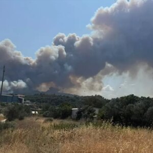 canakkalede orman yanginina mudahale PeLFwZEJ