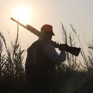 chpden iktidara cagri av yasagi tum turkiyeyi kapsasin BbX6qqhO