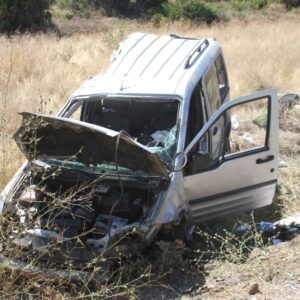 hafif ticari arac once agaca sonra direge carpti 5 yarali uQEIPfc2