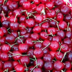 turk kirazi o ulkede daha ucuz turkiyede kilosu 1000 tl npad83xf