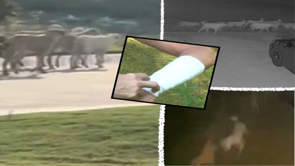 10 kopek bir oldu 71 yasindaki kadina dehseti yasatti 7SU7eMlW