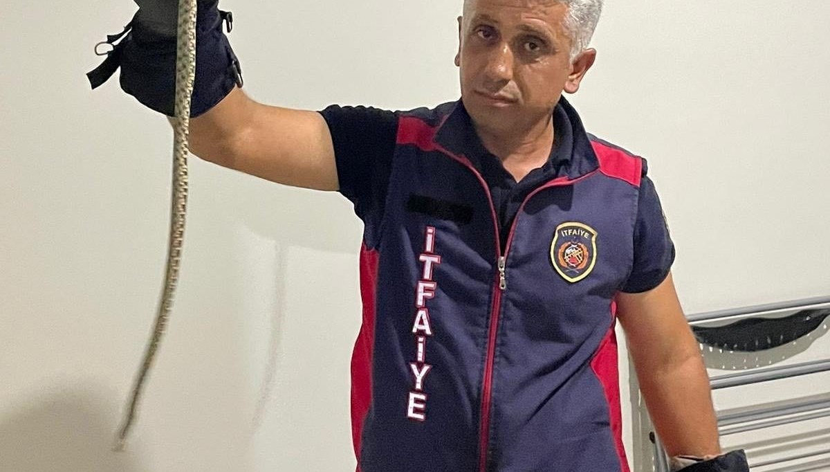 hatayda eve giren yilanlari itfaiye yakaladi PtTKUtAa