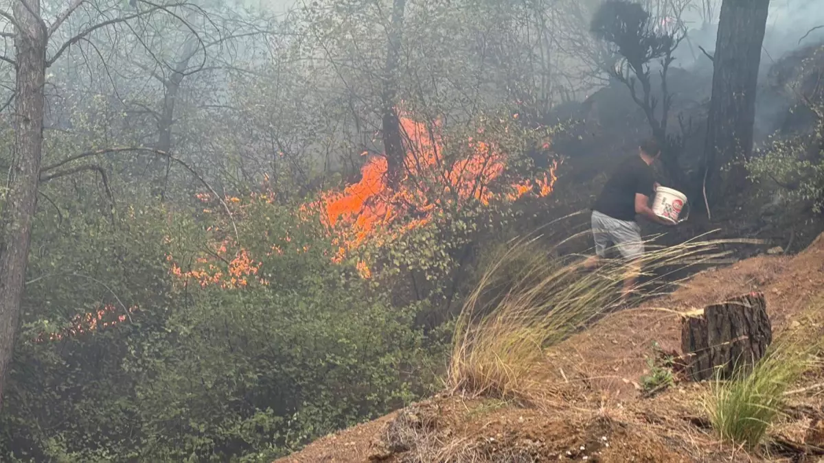 koycegizde orman yangini 173 kisi tahliye edildi QFhpUs5Q