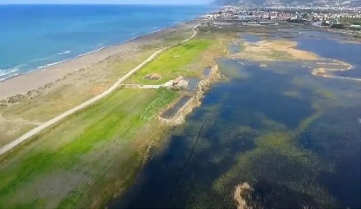 milleyha sulak alani dogal sit alani olarak tescillendi n3SmZTQ4