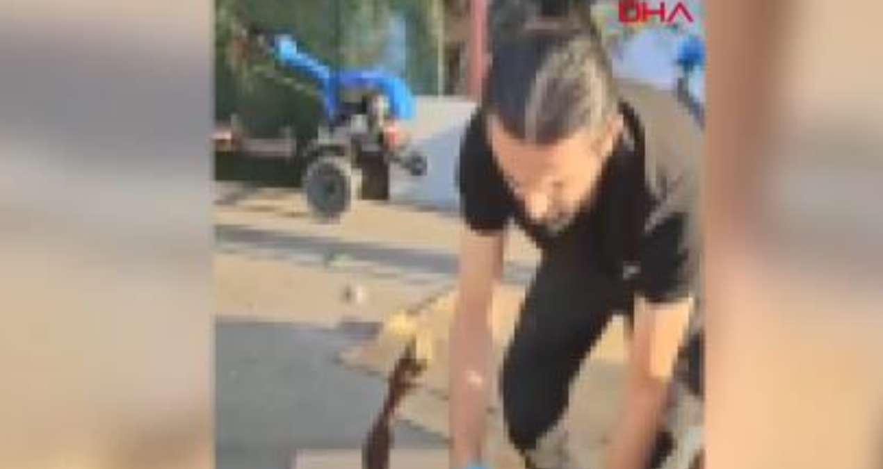 olu koyunun karninda uyusturucu sevkiyati IVGppfw2