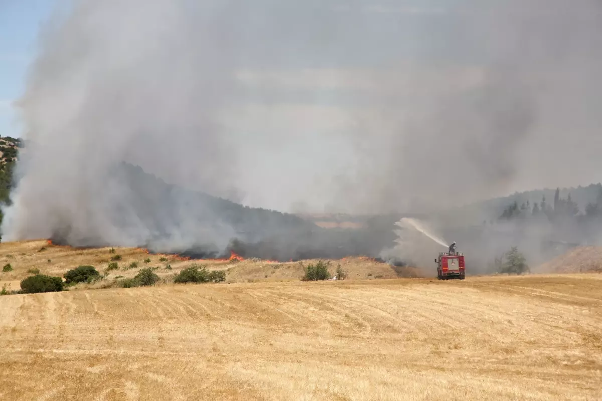 ipsala kaymakamligindan aniz yakma uyarisi 4utwM3Vk.jpg