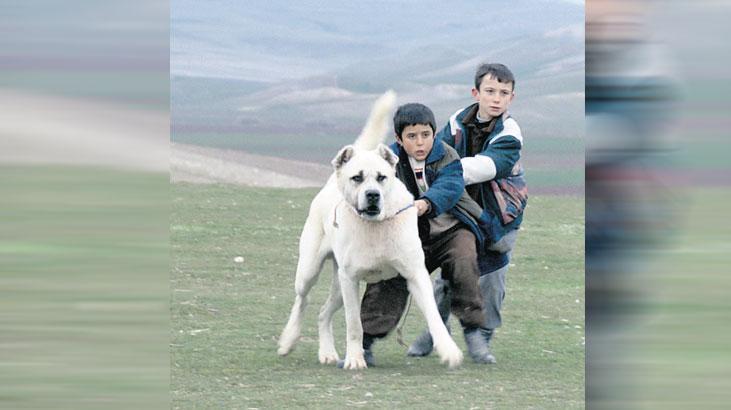 sivas ucretsiz erisime acildi xWb824WO.jpg