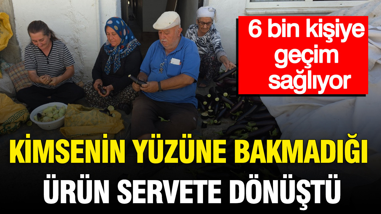 Kimsenin yüzüne bakmadığı ürün servete dönüştü: 6 bin kişiye geçim sağlıyor Haber gorseli