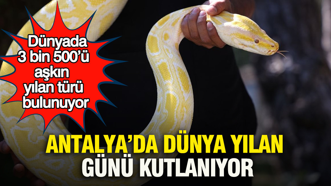 Antalya’da dünya yılan günü kutlanıyor: Dünyada 3 bin 500’ü aşkın yılan türü bulunuyor Img