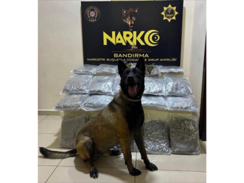 Narkotik kopegi dark buldu gubre torbalarinin altindan 11 kilo skunk cikti MuTPMJJV