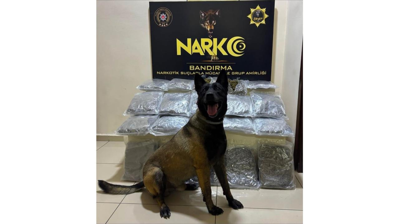 Narkotik kopegi dark buldu gubre torbalarinin altindan 11 kilo skunk cikti MuTPMJJV